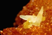 Calcite